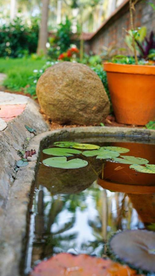 Dr Nisha'S Vedic Remedies تريفِندرم المظهر الخارجي الصورة